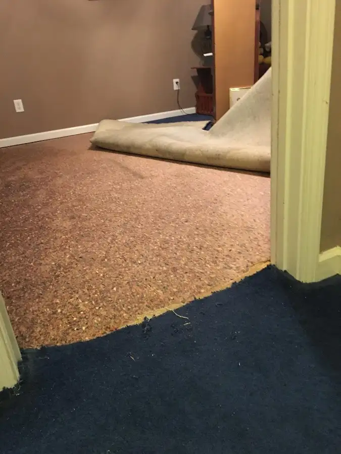 Carpet pad removal revealing water damage during Water Mitigation Services in Cynthiana