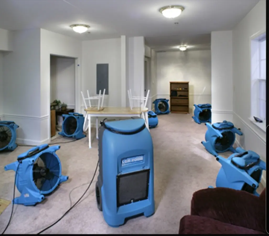 Air movers and dehumidifier setup for Water Extraction & Removal in Cynthiana
