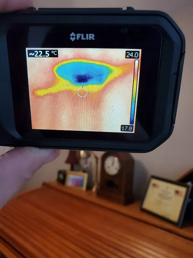 Thermal imaging inspection for water damage in Cynthiana