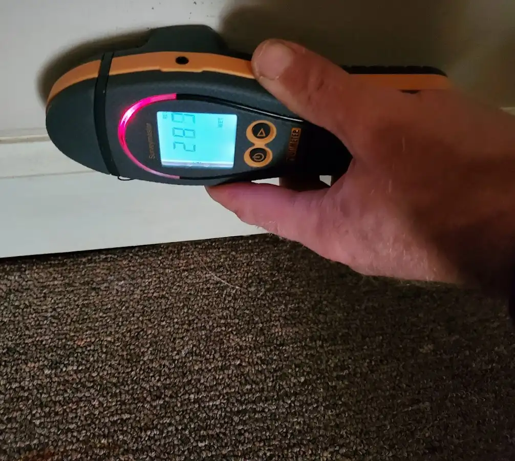 Moisture detection at baseboard during Mold Inspection & Testing in Cynthiana